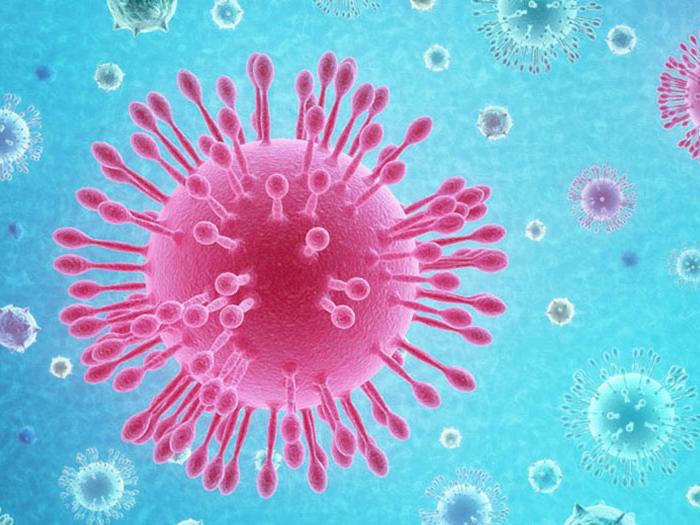 Conceptual illustration of the coronavirus as if it were observed from a microscope.