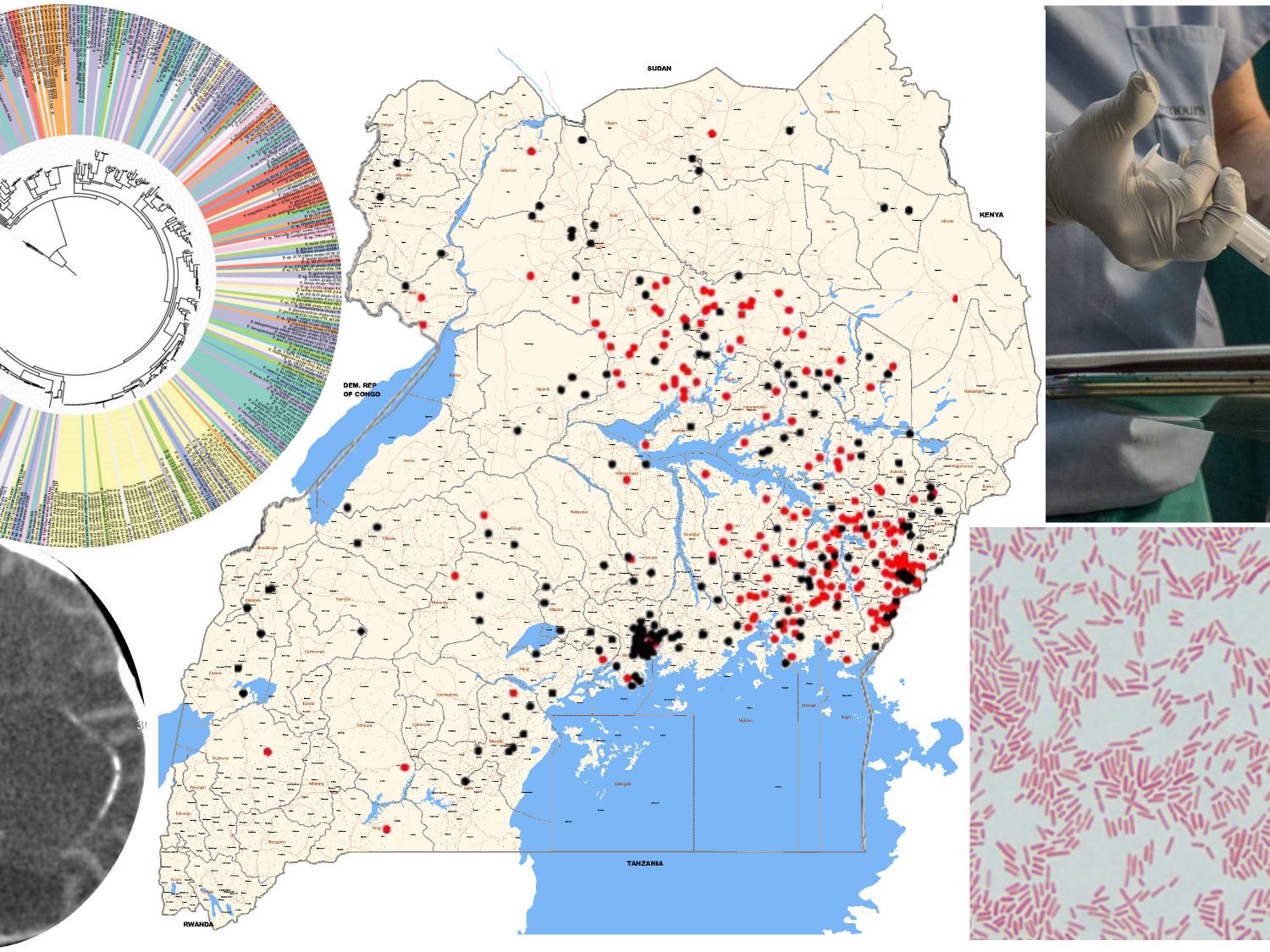 collage of map, dna test, brain and lab