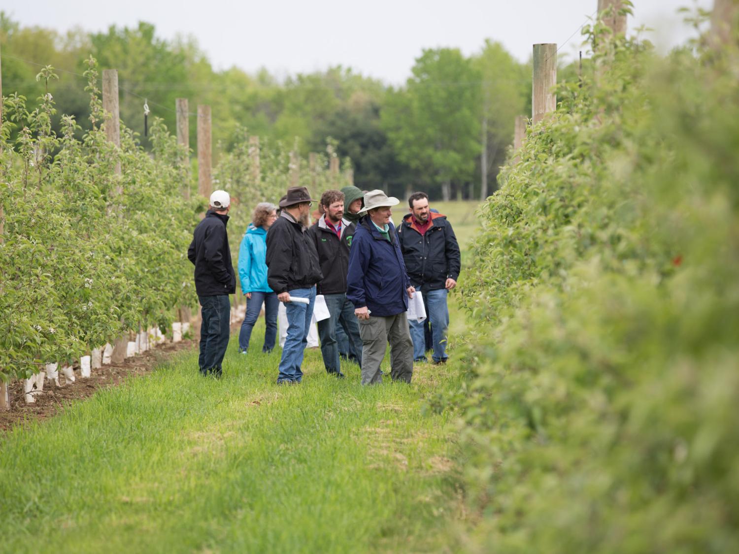 group tours Rock Springs research orchard