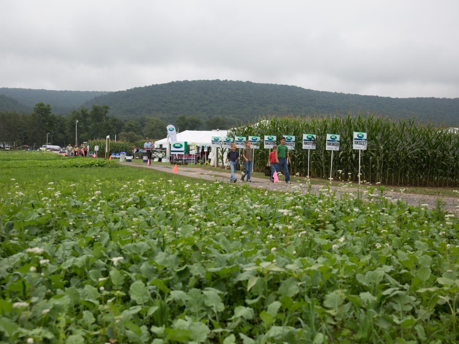 Crop exhibits at Ag Progress Days