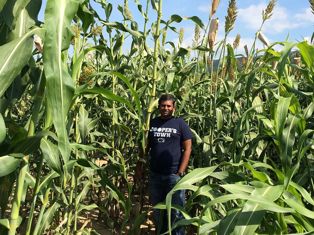 D. Elango with biomass sorghum