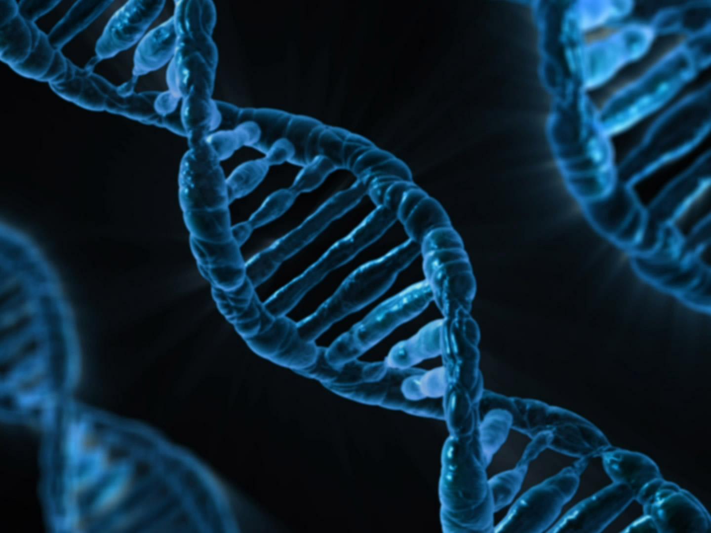 DNA strand