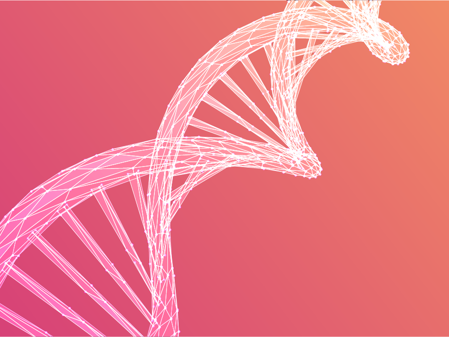 DNA illustration made of vector lines and dots