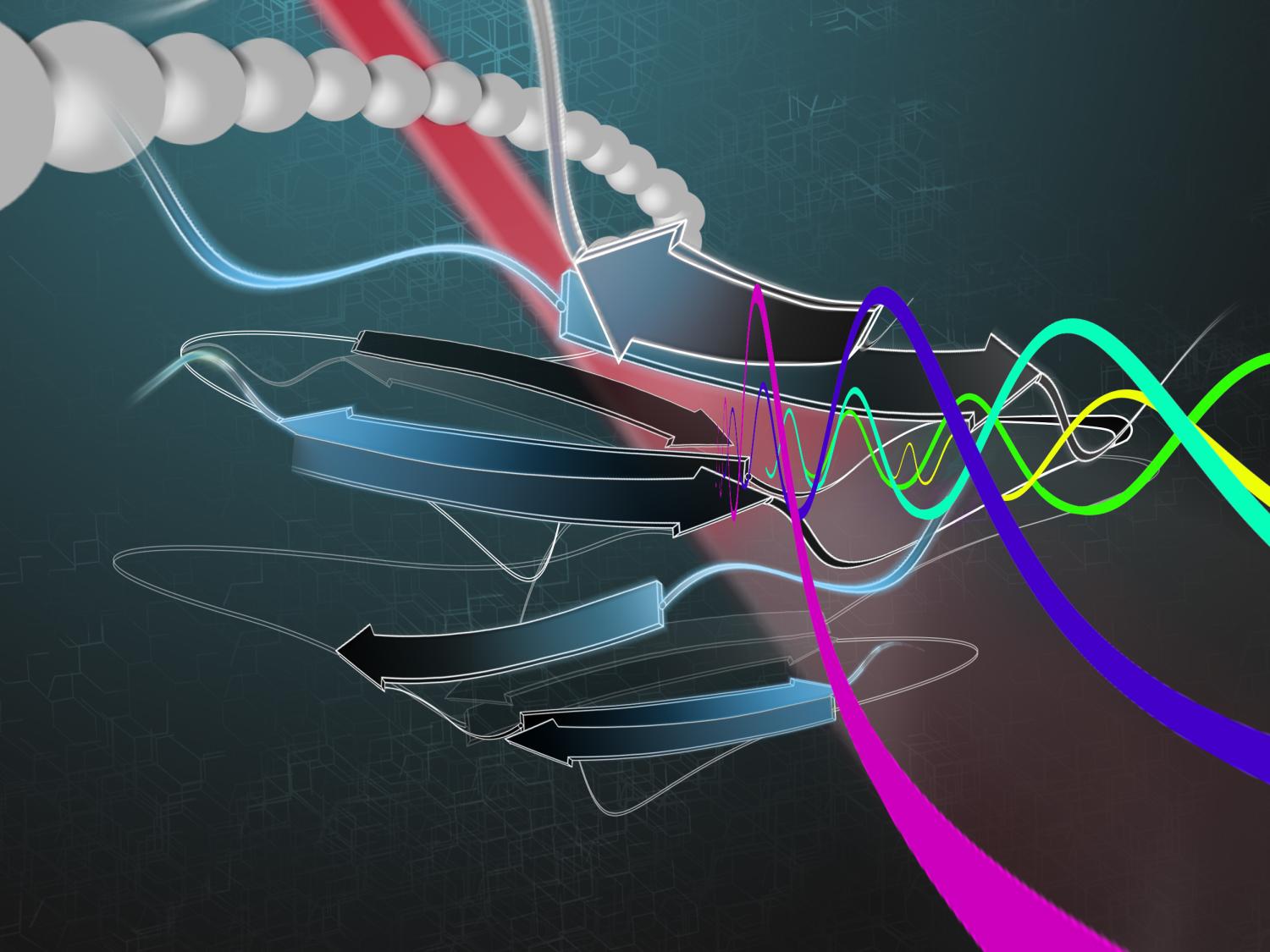 single strand of protein