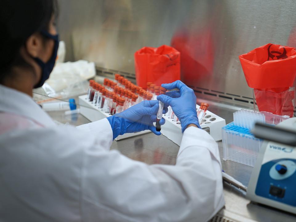 D4A student RAs process blood samples so they will be ready for serology testing to detect the presence of antibodies to COVID-19.