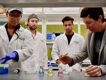Four people in a lab reviewing results
