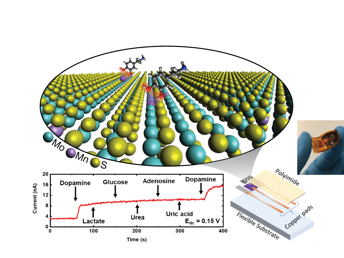 schematic of detector, atomic structure of material