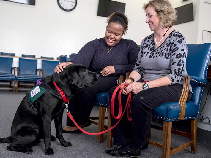 Dickinson Law students work alongside courthouse canine as part of in-house legal clinic