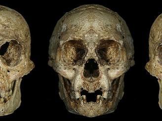 3 views of LB1 skull