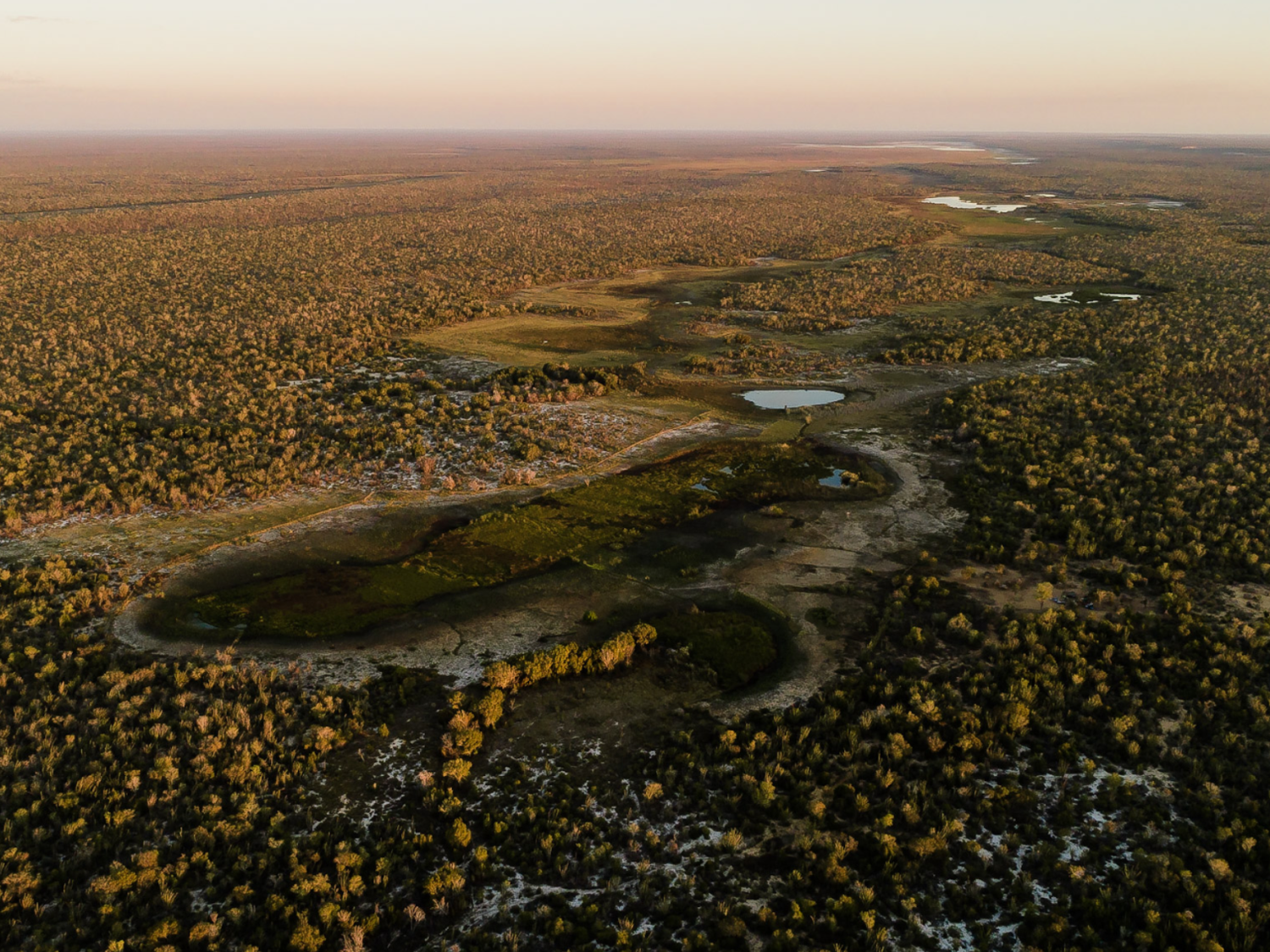 birds eye view of a forest, waterways and vegitation clearly visible.