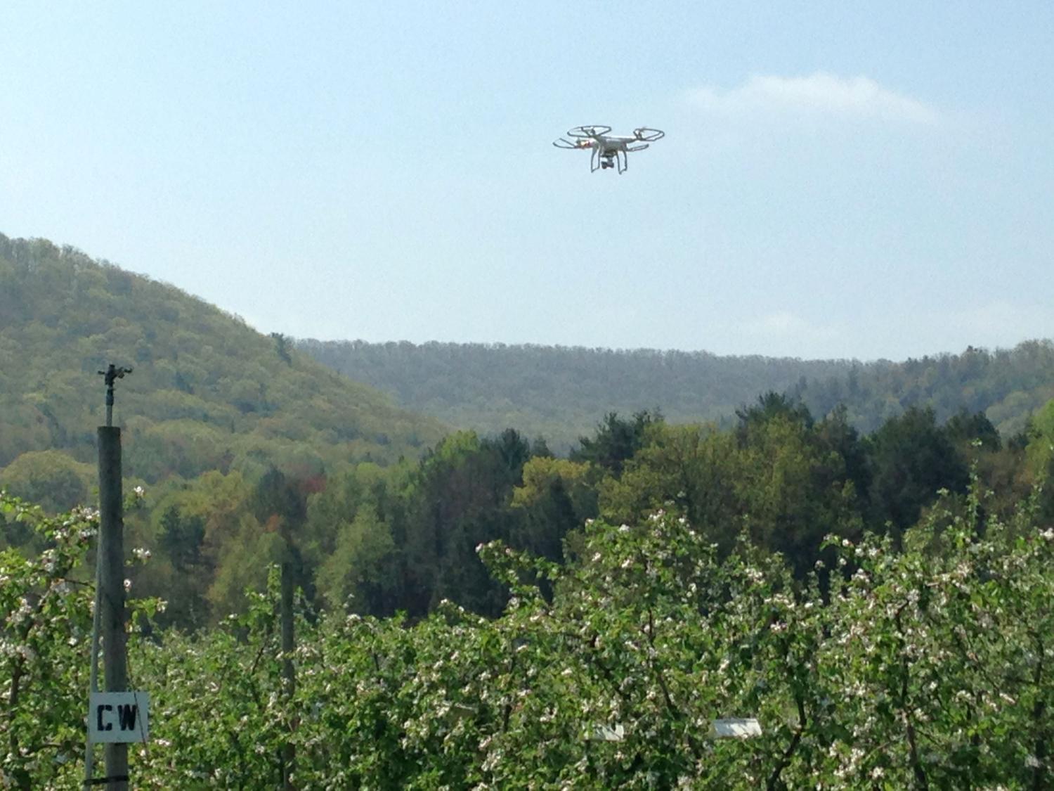 Drone over Penn State apple orchard