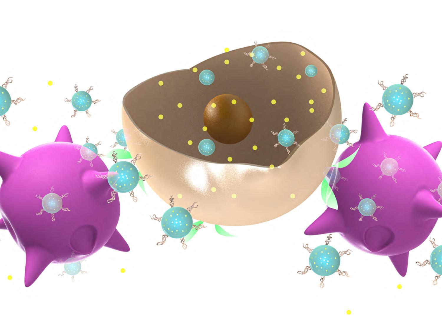 artists rending of immune cells