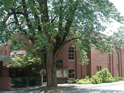 ash tree on Penn State campus