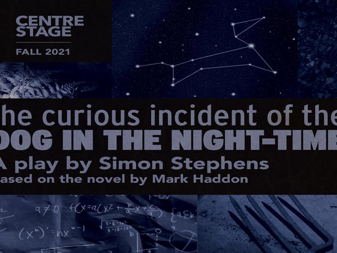The Curious Incident of the Dog in the Night-Time