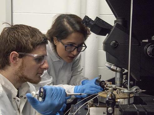 Adam Bolotsky, Ph.D. student in materials science and engineering, and Aida Ebrahimi, assistant professor of electrical engineering, work together in Ebrahimi's lab.