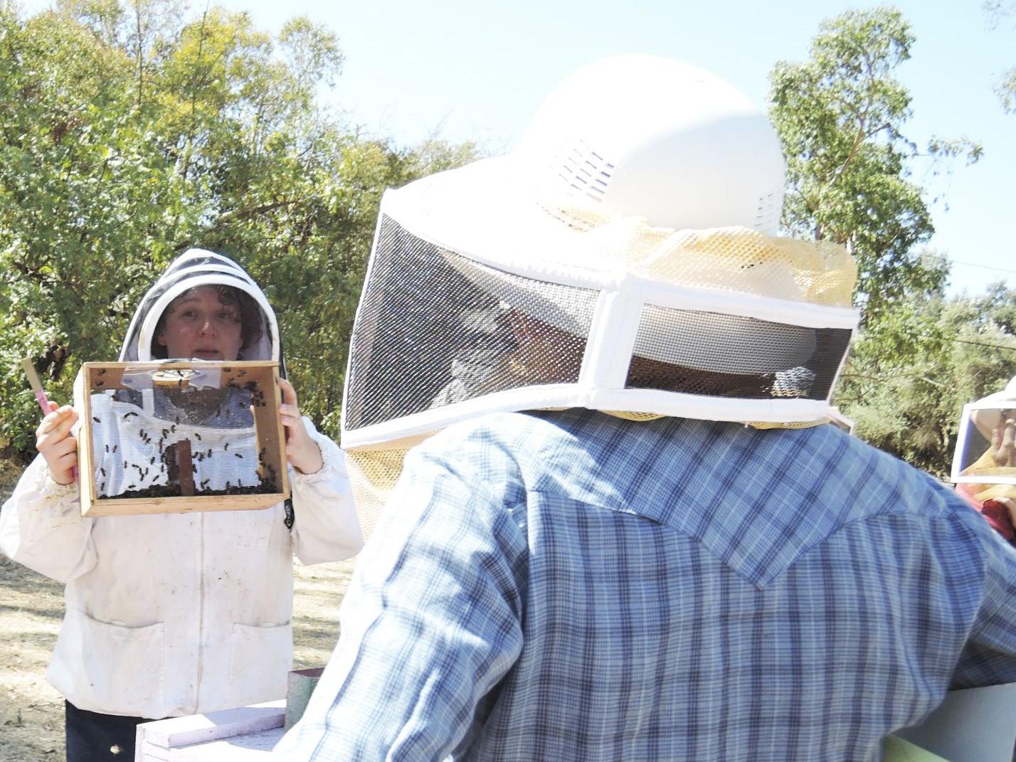 Elina Lastro Niño beekeeping workshop