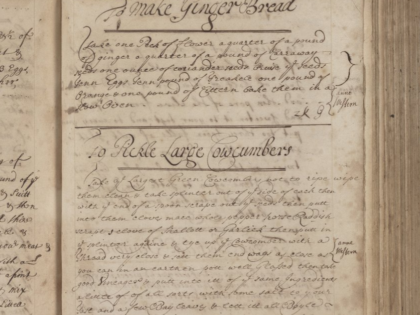 English Cookery and Medicine Book