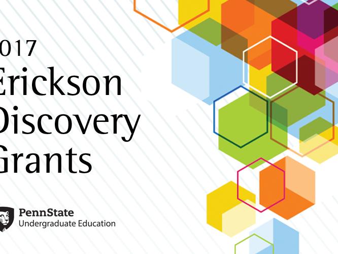 2017 Erickson Discovery Grants