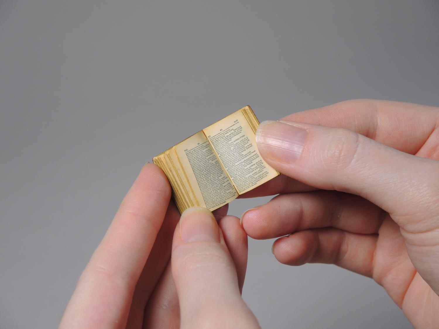 The Smallest Dictionary in the World