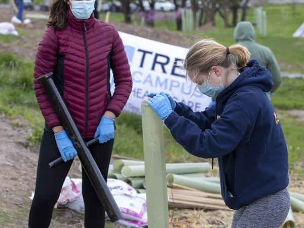 Two women plant a stake in the ground during a tree planting ceremony at Hershey Medical Center.