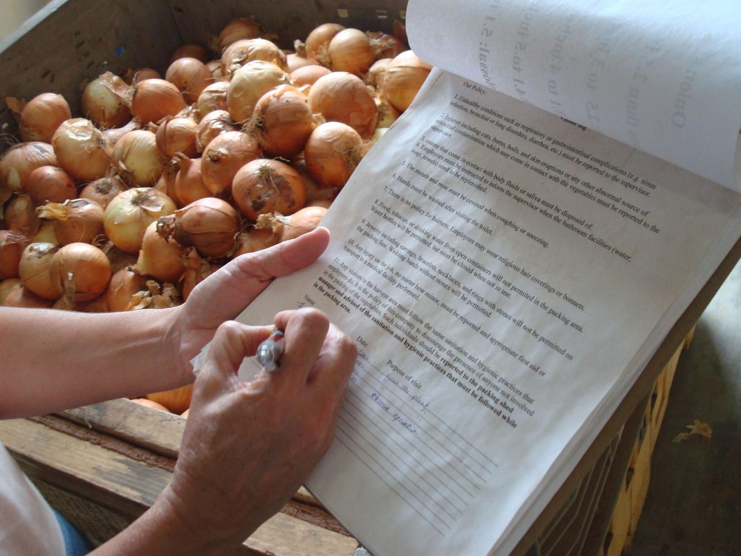 FSMA survey - onion bin