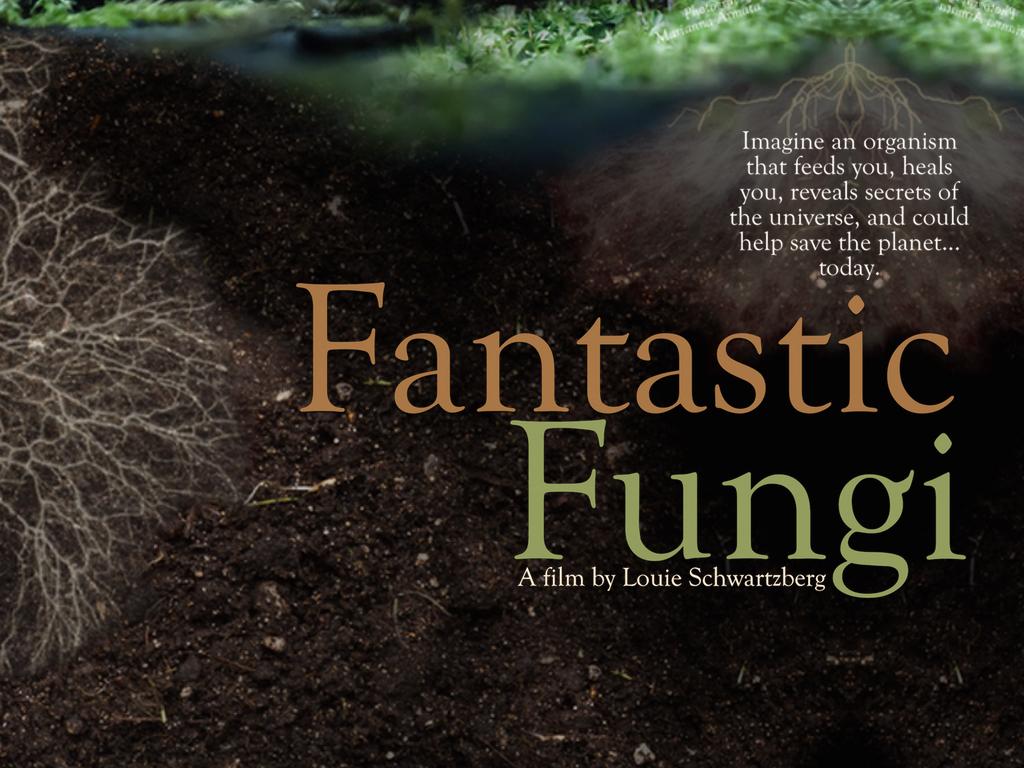 Fantastic Fungi, a film by Louie Schwartzberg will begin the new "Limits of Imagination" film series