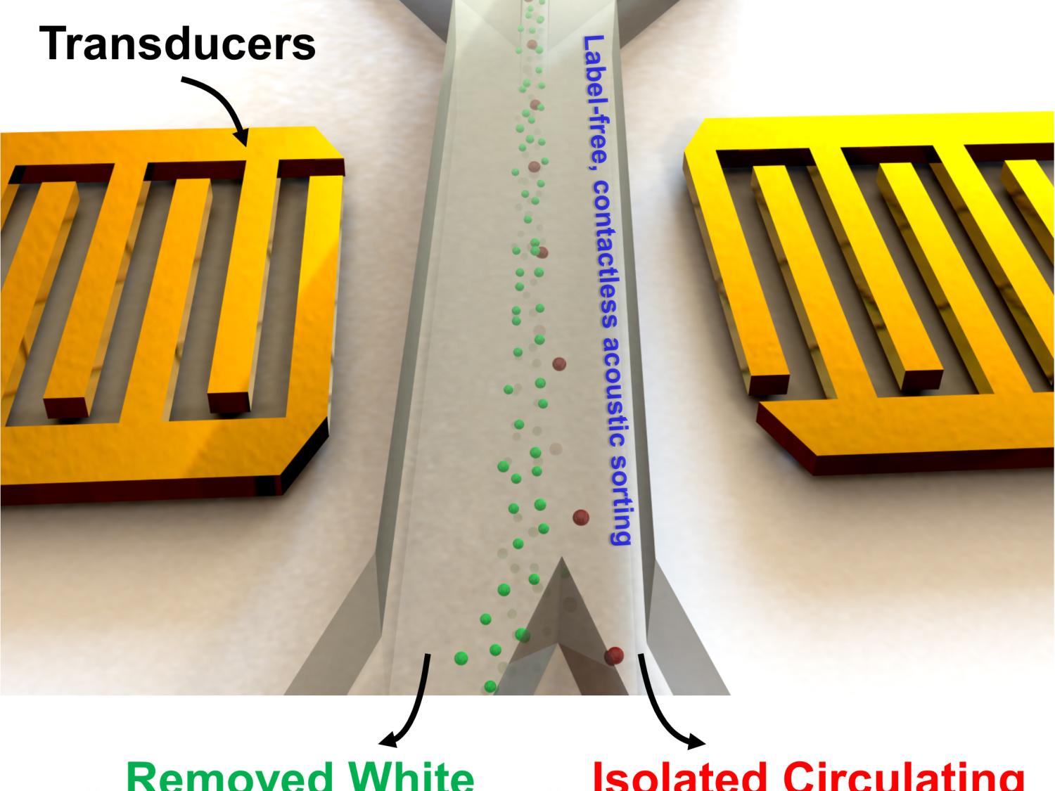 schematic of acoustic tweezer separation