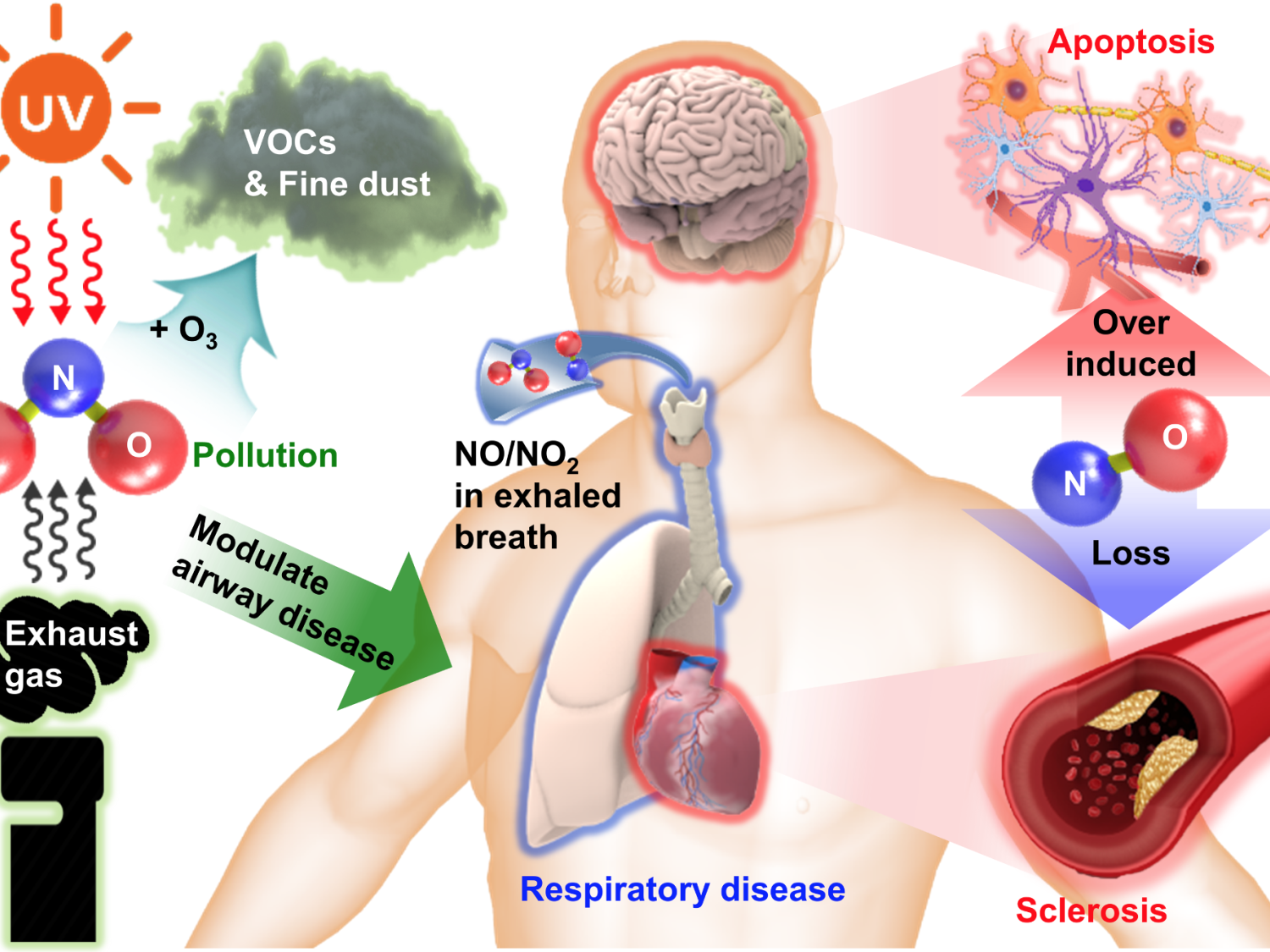 Implantable Biodegradeable Sensor