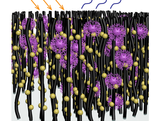 carbon nanotubes catching viruses
