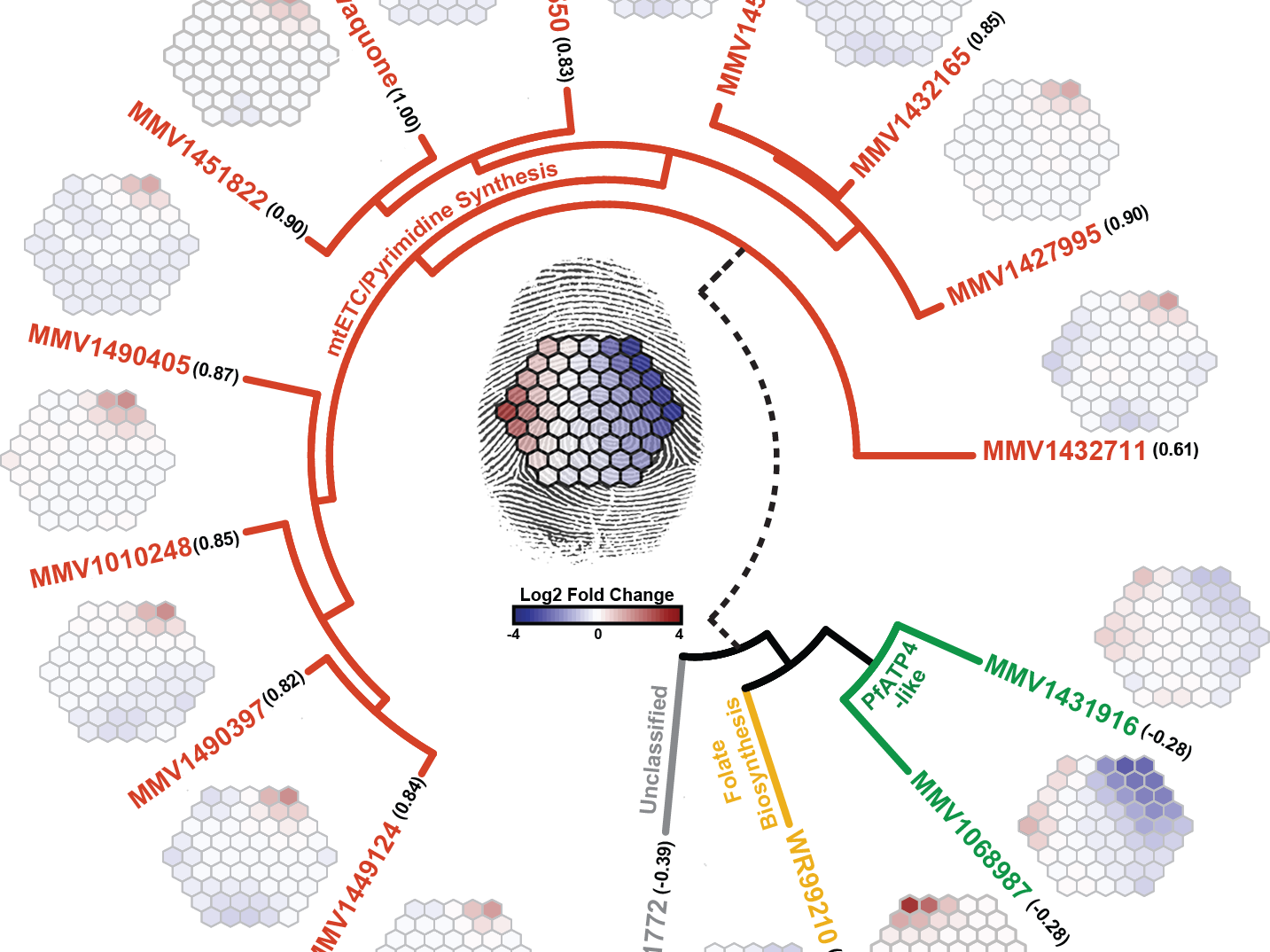Metabolic profiles of 13 compounds