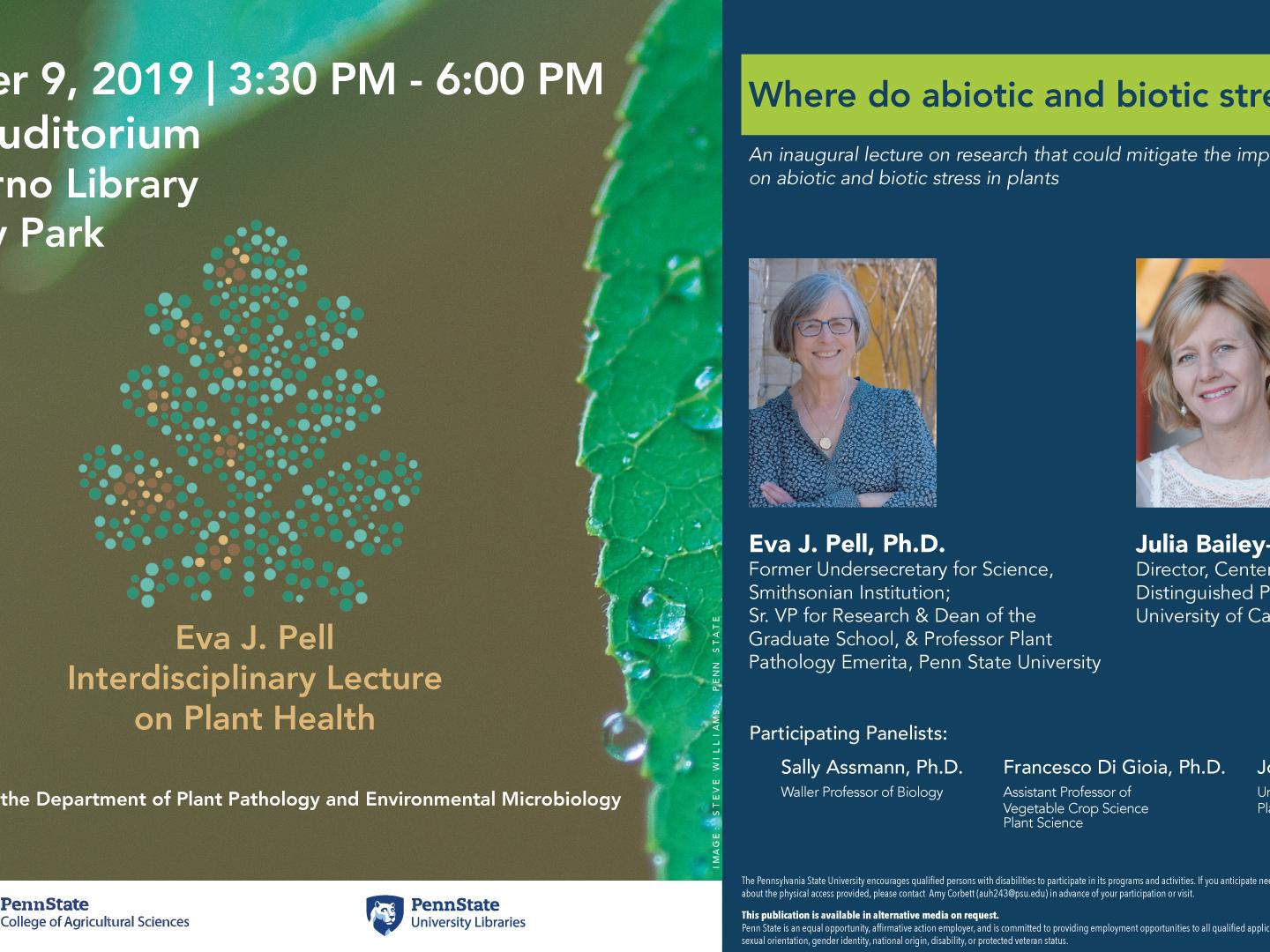 Eva Pell 2019 lecture graphic