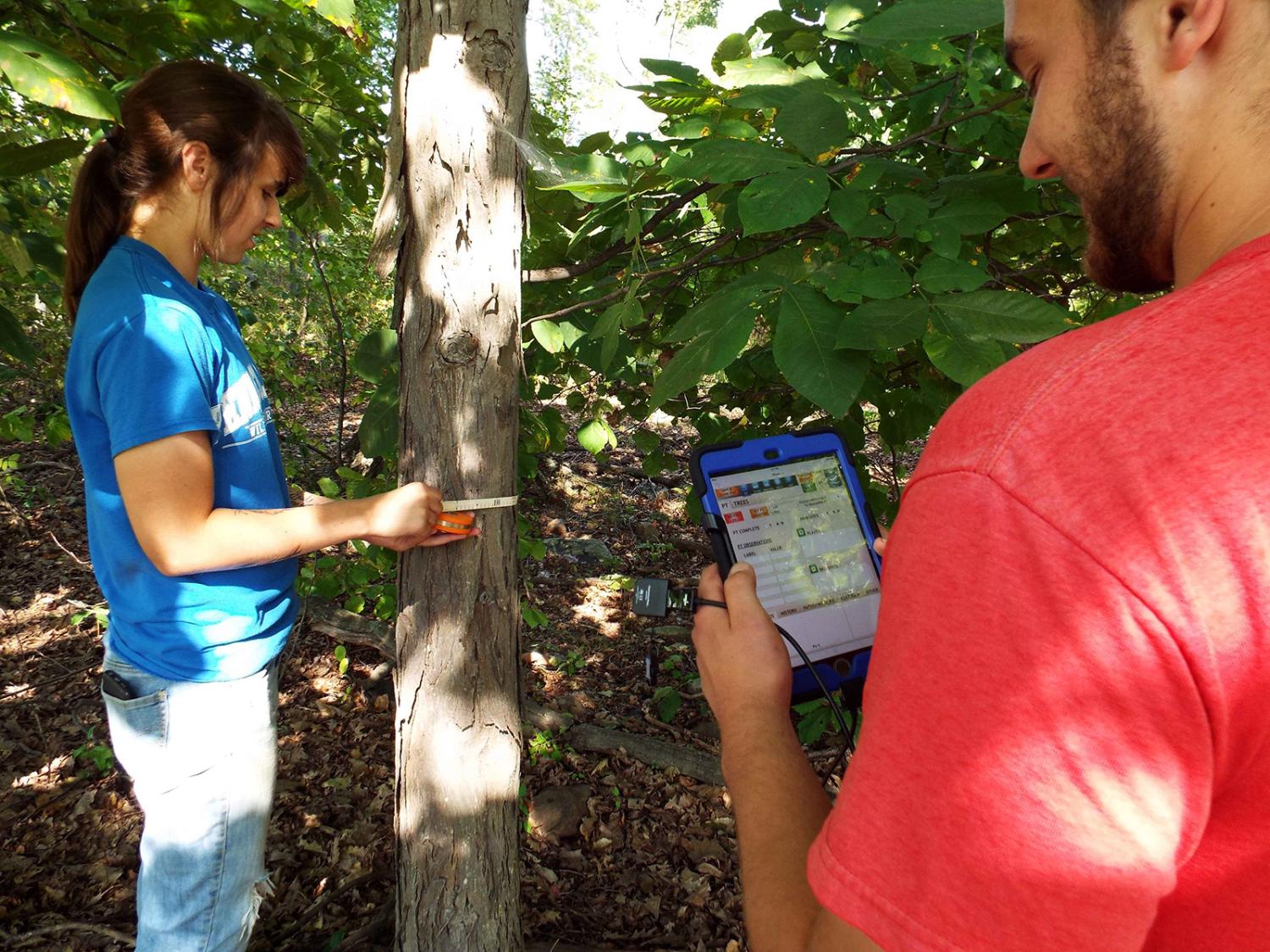 Penn College Forest Technology