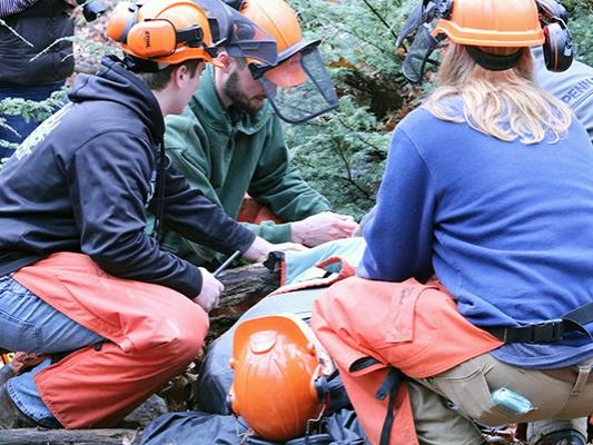Mont Alto Forestry Trauma