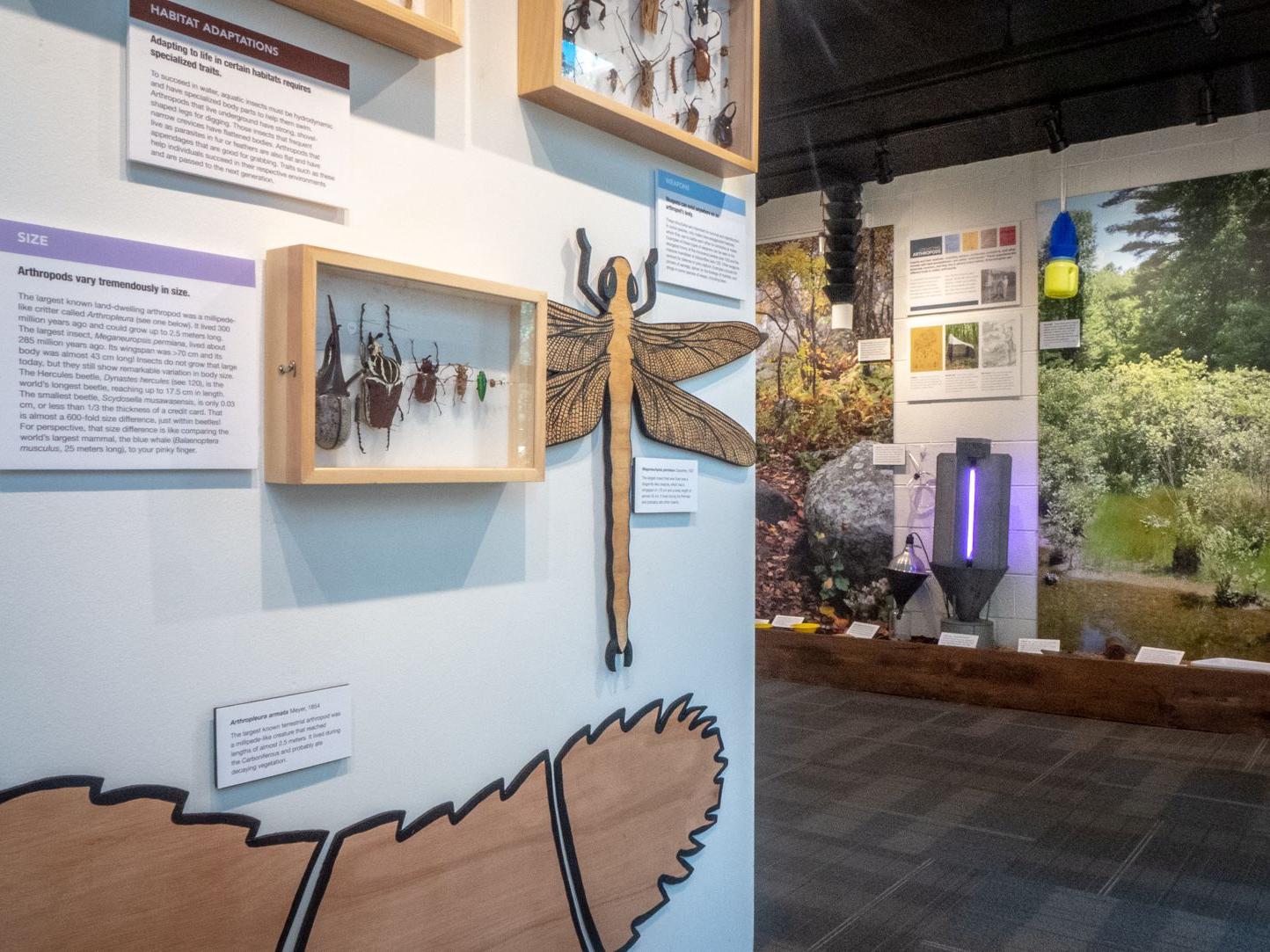 Frost Museum new exhibits