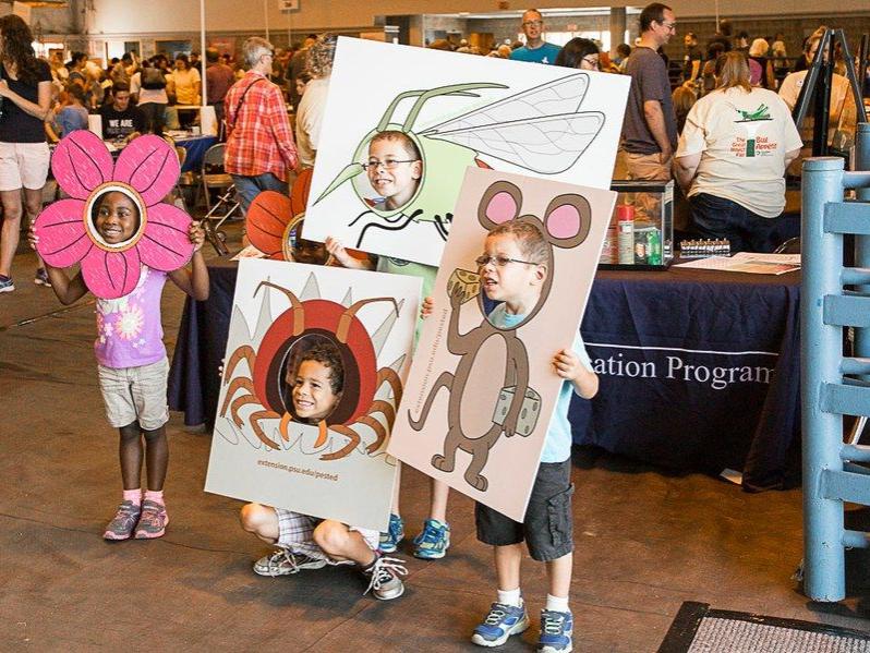 Insect Fair 2016 - kids picture cutouts