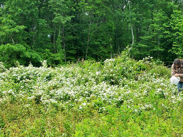 Collecting samples on State Game Lands 33