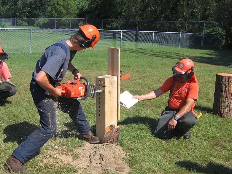 Game of Logging bore station