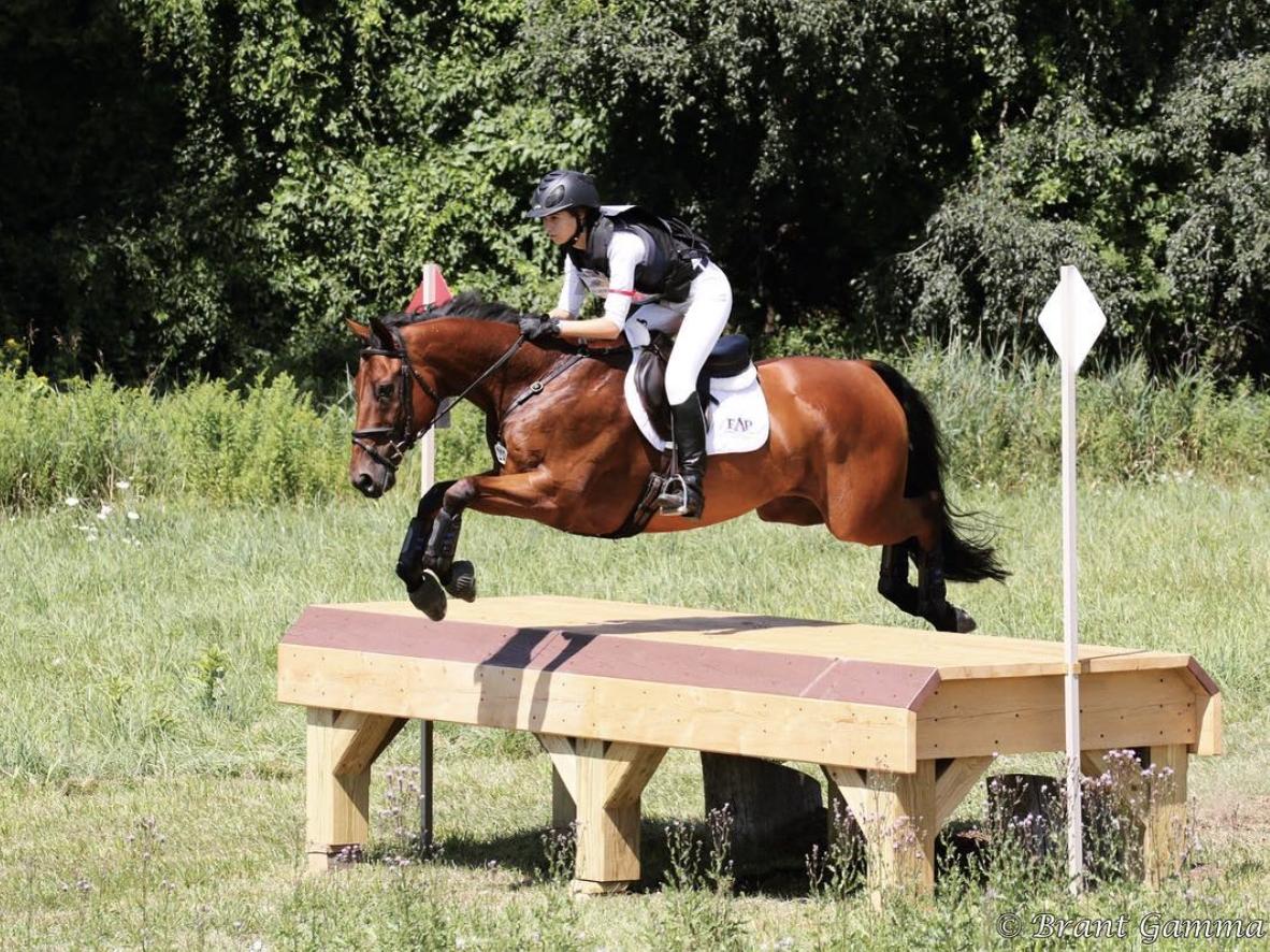 Gillian Warner horse