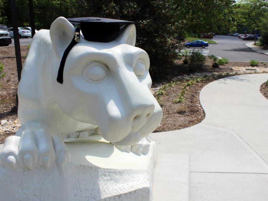 Grad Lion YorkT