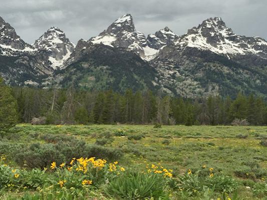 Grand Teton National Park