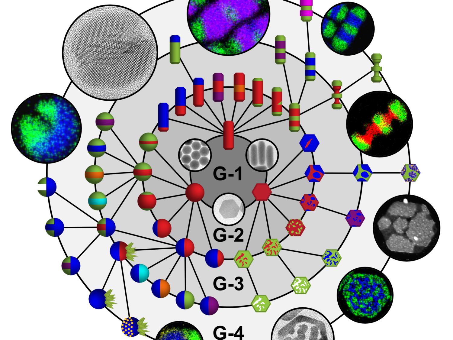 Mix-and-match toolkit allows researchers to create a library of complex nanoparticles