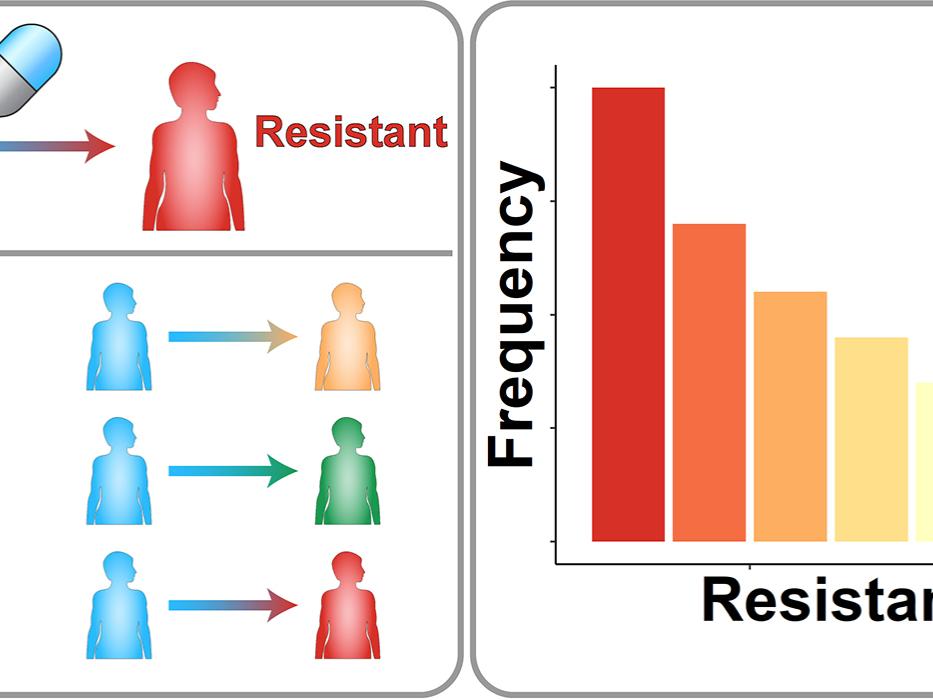 graph on left indicates treated patients with mutations. Graph on right shows population of mutations in bar graph.