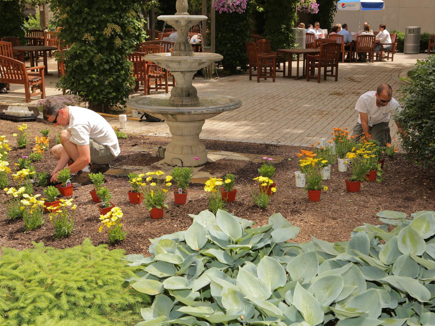 Two men kneel as they plant flowers in a garden. A fountain and patio are behind them; some green grass is in the foreground.