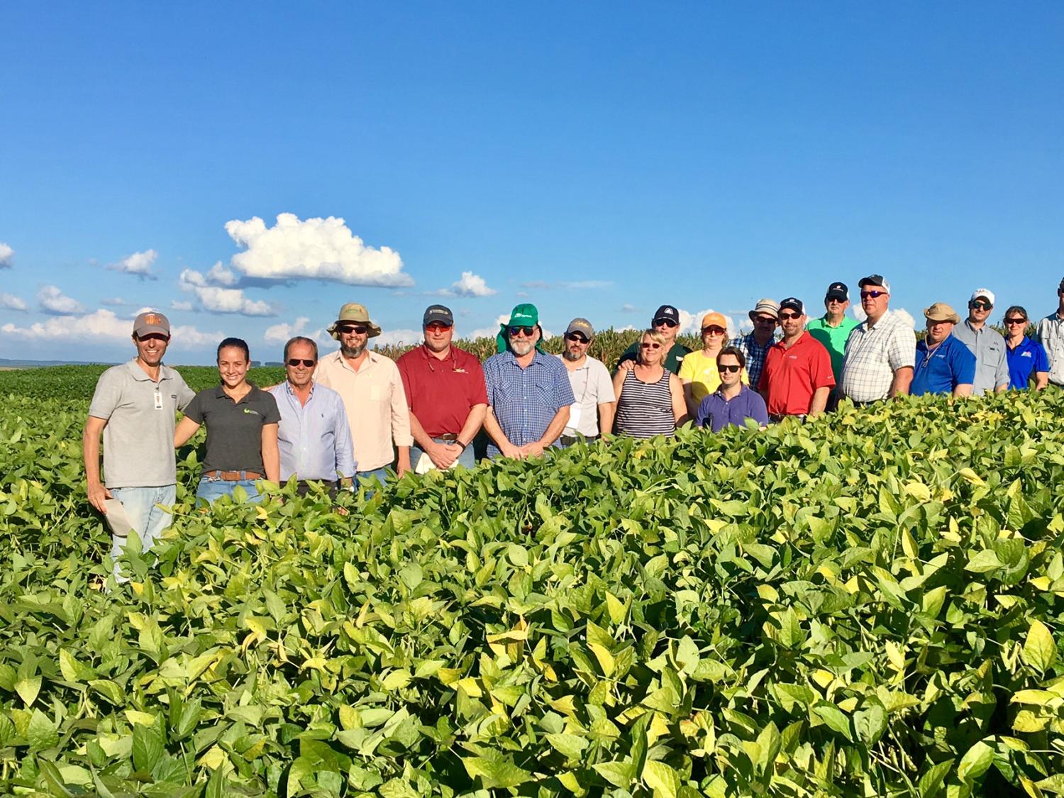Brazil soybean group