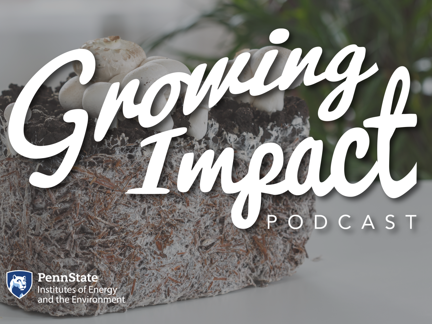 Growing Impact