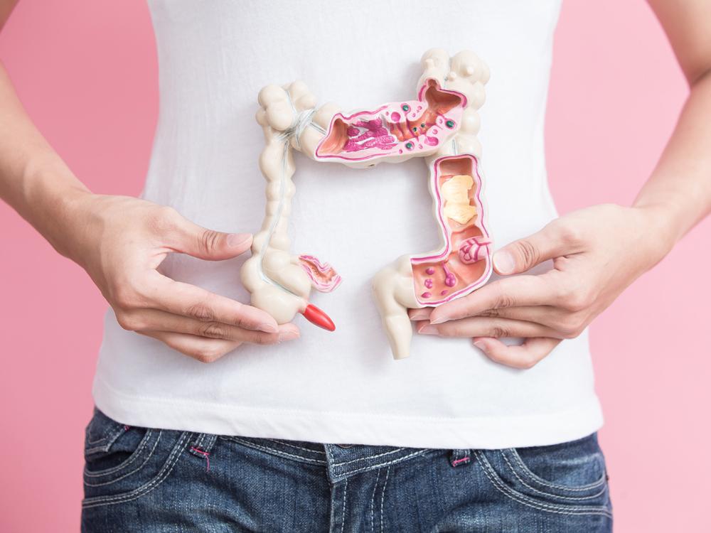 Photo shows woman from waist to chest. She is wearing jeans and a white t-shirt. She is holding a plastic model of a colon. A portion of the right side and top are open.