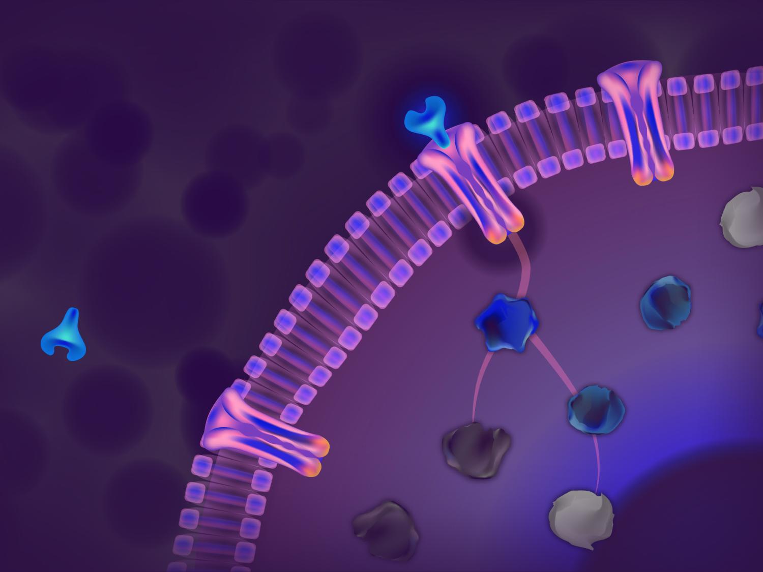 Custom-made protein illustration