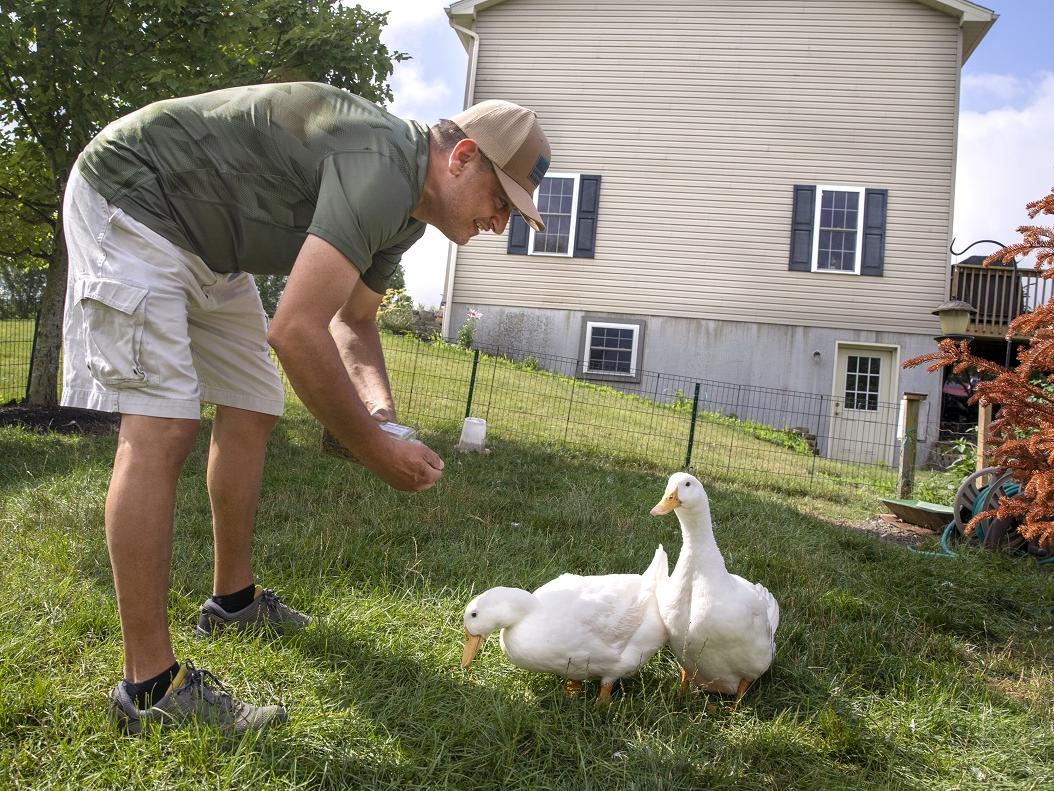 A man leans over and feeds two ducks in his backyard. He is wearing a baseball cap, short-sleeved shirt, shorts and sneakers. A house is in the background.