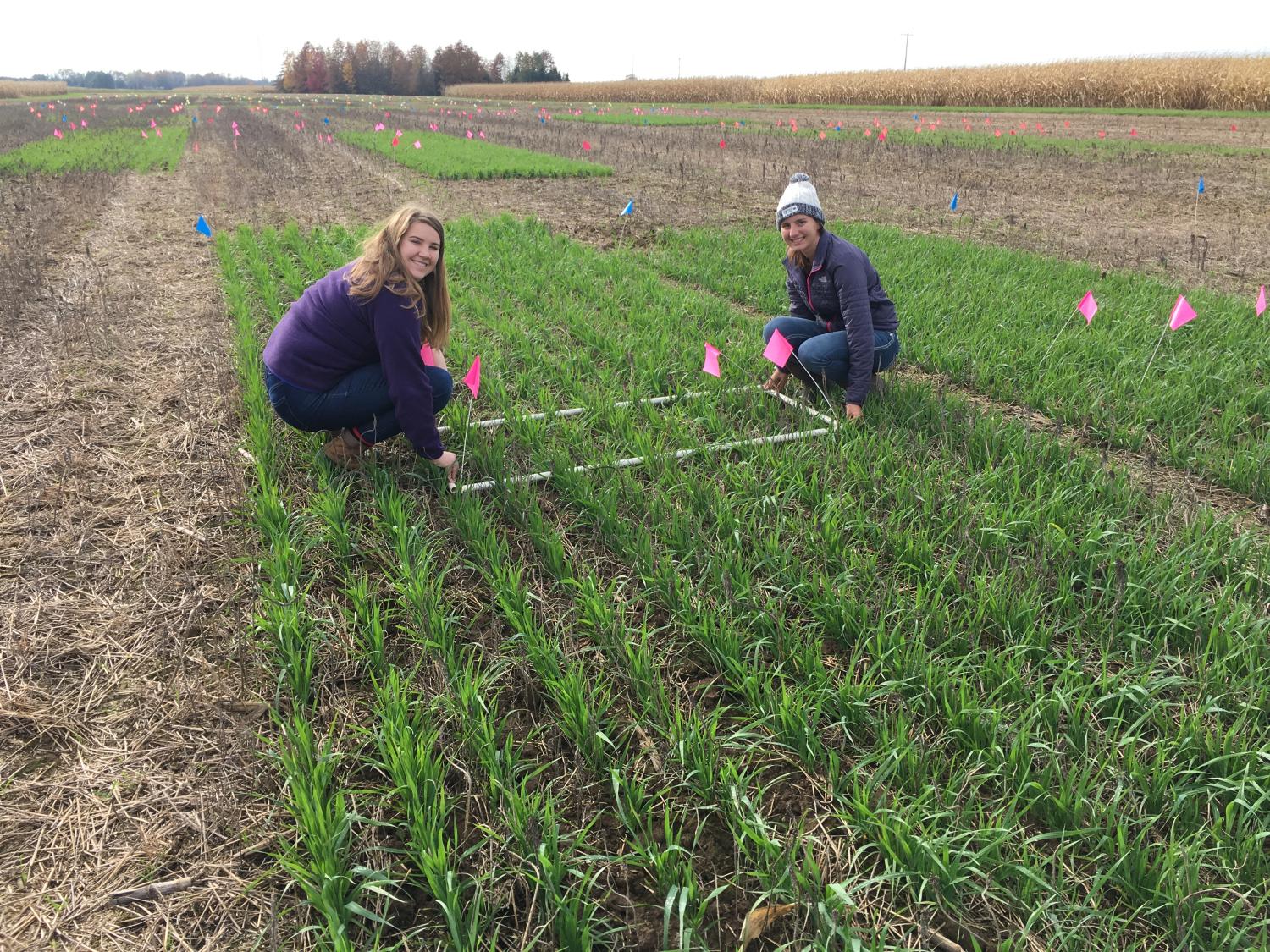 weed management researchers