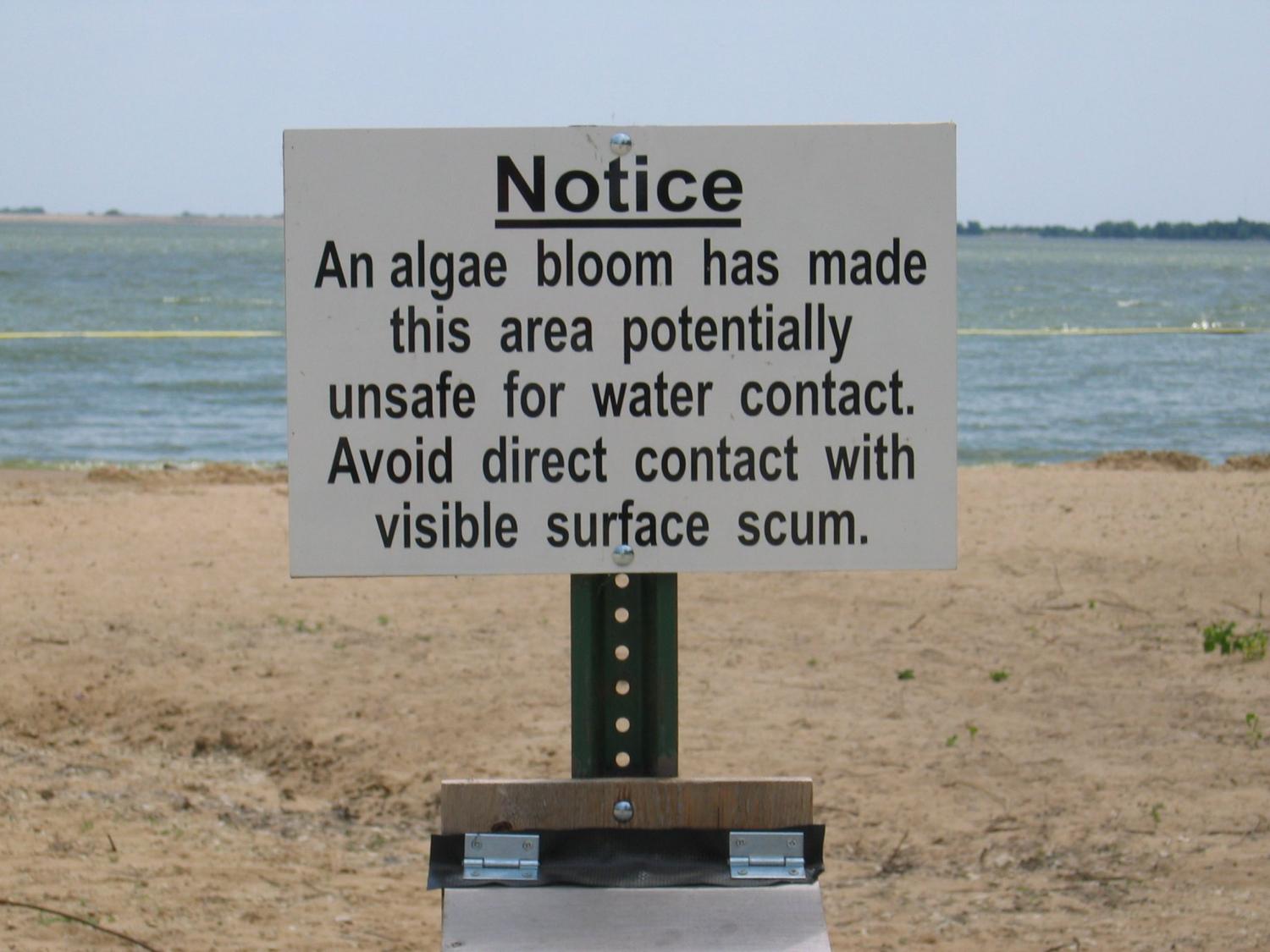 Harmful algal bloom sign